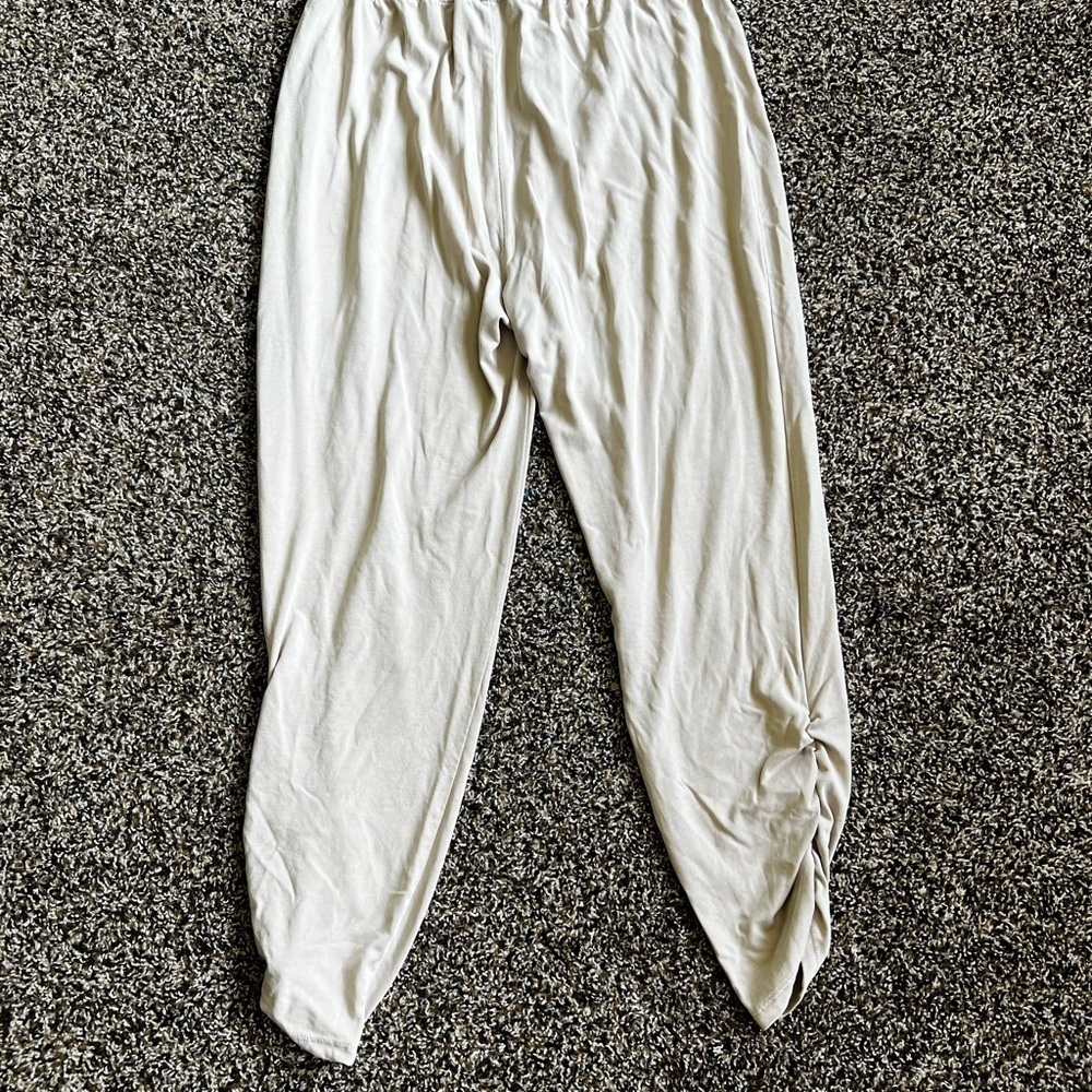 Express Light Cream Joggers - Picture 4 of 6